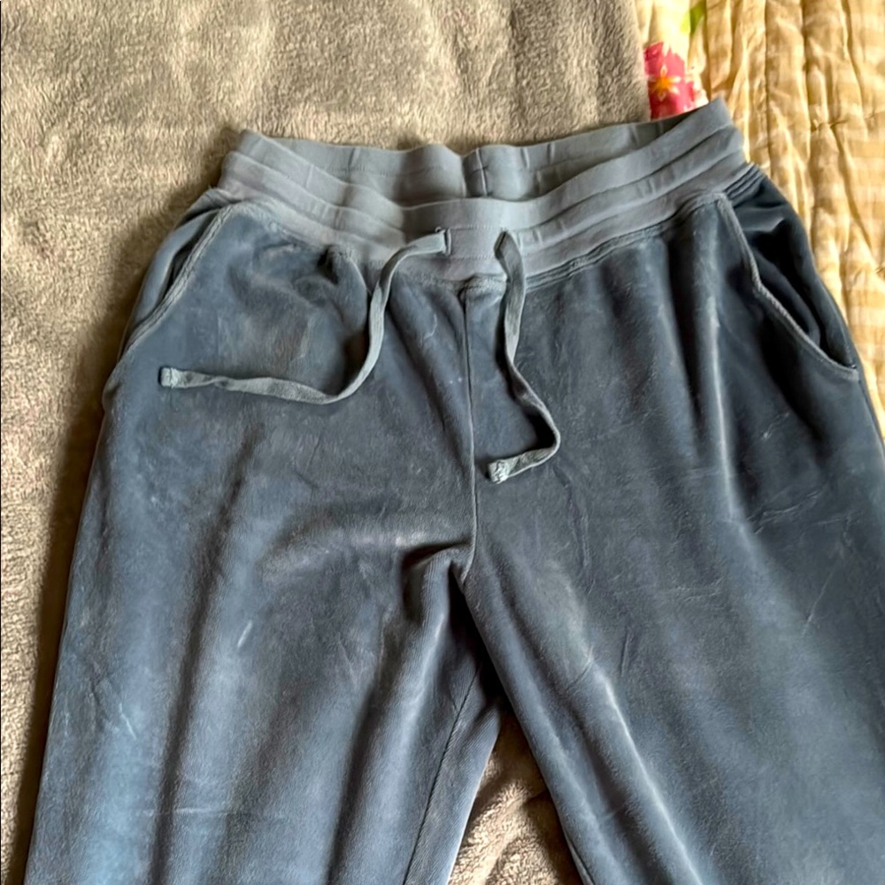 Sundry Light blue ‘velour’ Jogger Pants